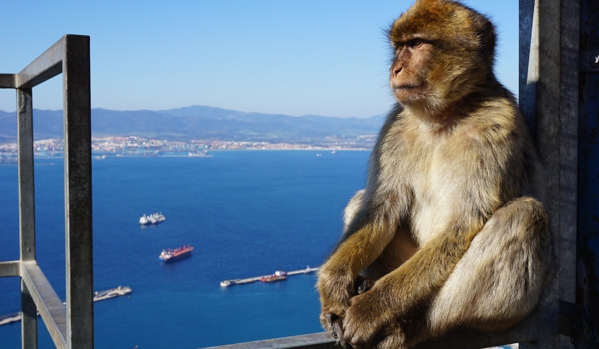 1 dagtrip naar Gibraltar met vertrek vanuit Vilamoura
